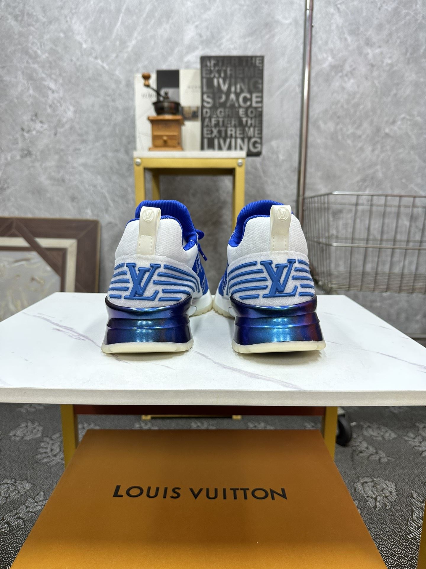 Louis Vuitton Low Shoes